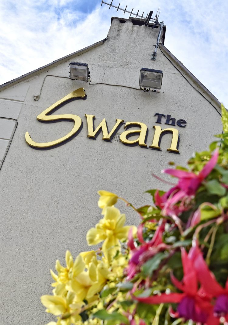 The Swan